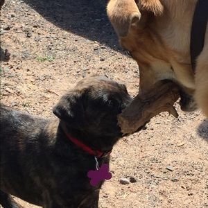 Meet your Posher, Denise